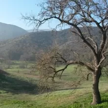 Film and the American Landscape
